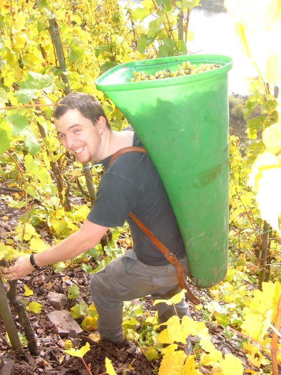 Villa Kleines Winzerhäuschen Bremm Zimmer foto