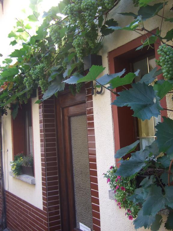 Villa Kleines Winzerhäuschen Bremm Exterior foto